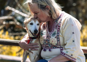 Pesquisa mostra relação entre pets e saúde do cérebro em idosos 