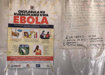 Risco de ebola chegar ao Brasil é baixo, mas vigilância deve permanecer ativa, dizem especialistas