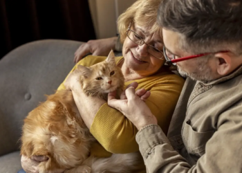 Especialista destaca como pets ajudam idosos a enfrentar a terceira idade