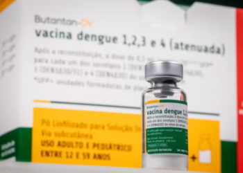 Vacina da dengue: Butantan mantém recrutamento de voluntários idosos para ensaio clínico; entenda