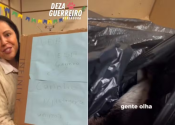 Defensora da causa animal, vereadora do RS recebe cachorro morto em caixa: ‘Ameaça para silenciar a voz’