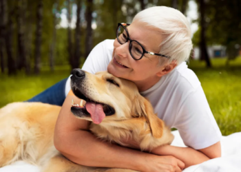 71% dos tutores na terceira idade aproveitam mais a vida: como cães e gatos viraram os maiores aliados de quem envelhece sem companhia